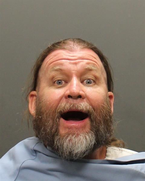 Mug shots 2017